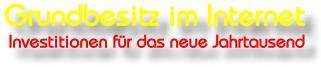 Grundbesitz im Internet - Investitionen fr das neue Jahrtausend